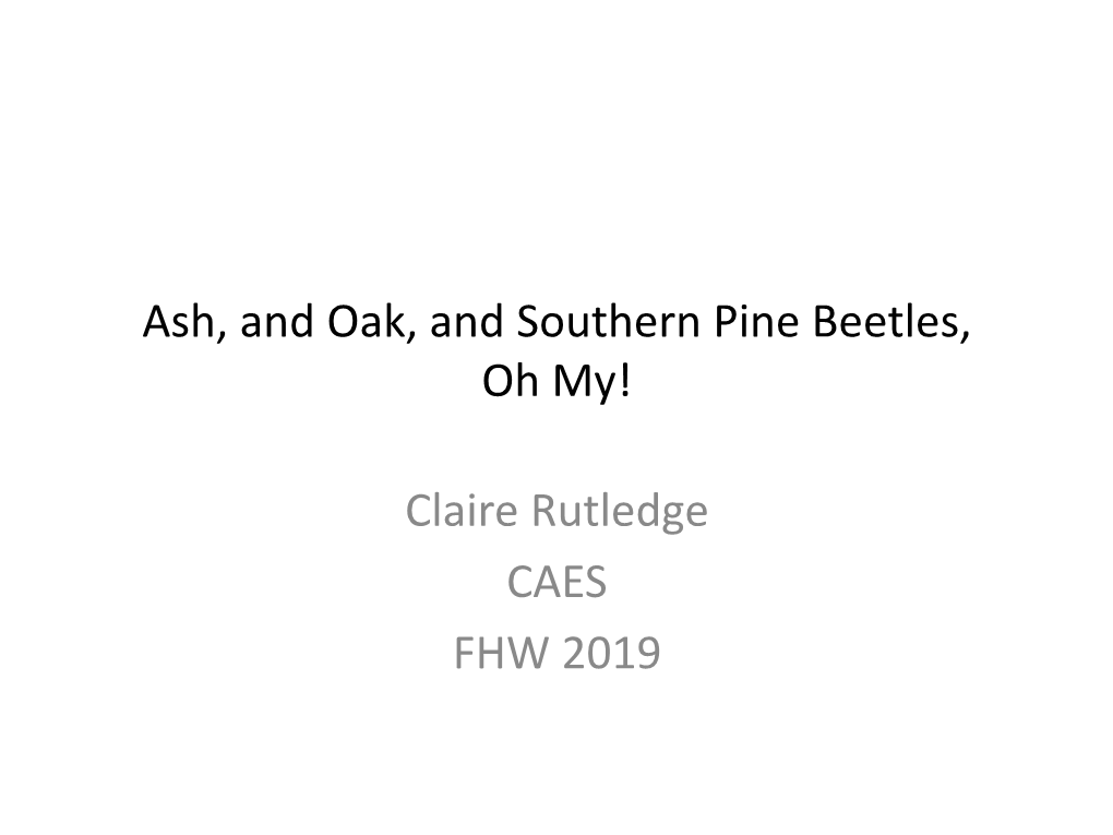 Ash, and Oak and Southern Pine Beetles Oh