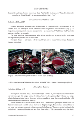 Carnivorous Plant Newsletter V46 N4, December 2017