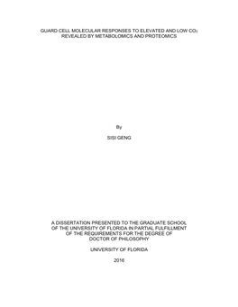 University of Florida Thesis Or Dissertation Formatting