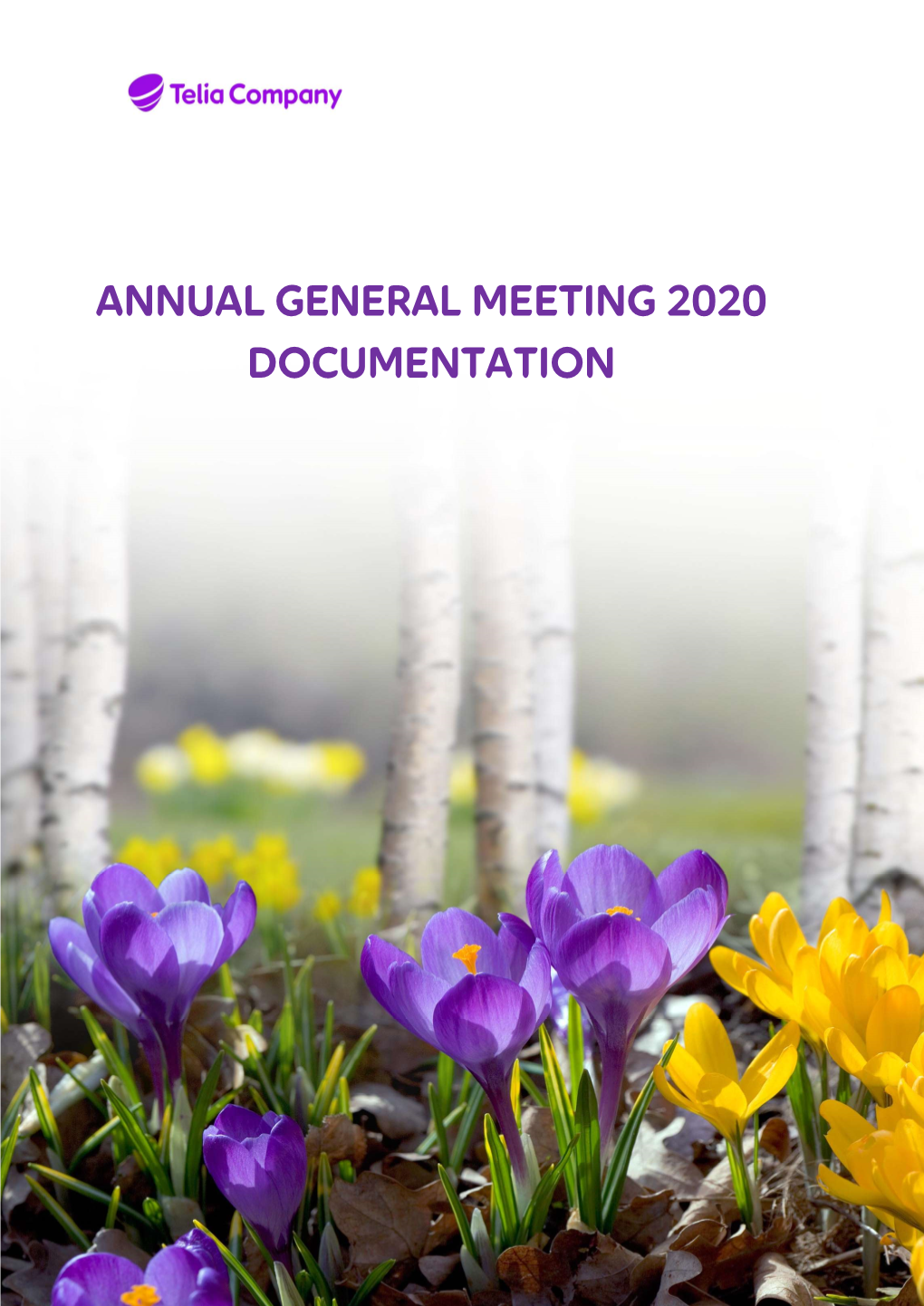 Annual General Meeting 2020 Documentation