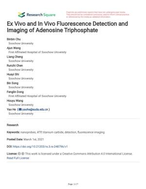 Ex Vivo and in Vivo Fluorescence Detection and Imaging of Adenosine Triphosphate