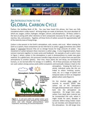GLOBAL CARBON CYCLE Carbon: the Building Block of Life