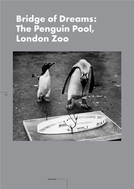 The Penguin Pool, London Zoo