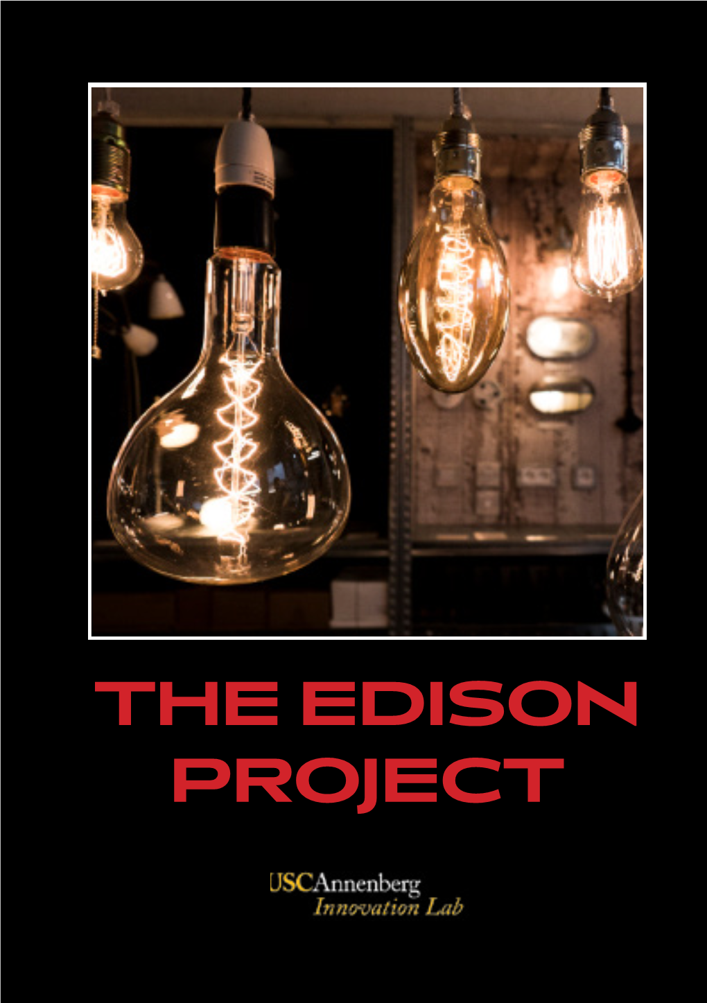 The Edison Project the Edison Project