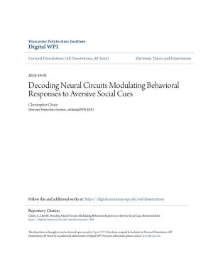 Decoding Neural Circuits Modulating Behavioral Responses to Aversive Social Cues Christopher Chute Worcester Polytechnic Institute, Cdchute@WPI.EDU