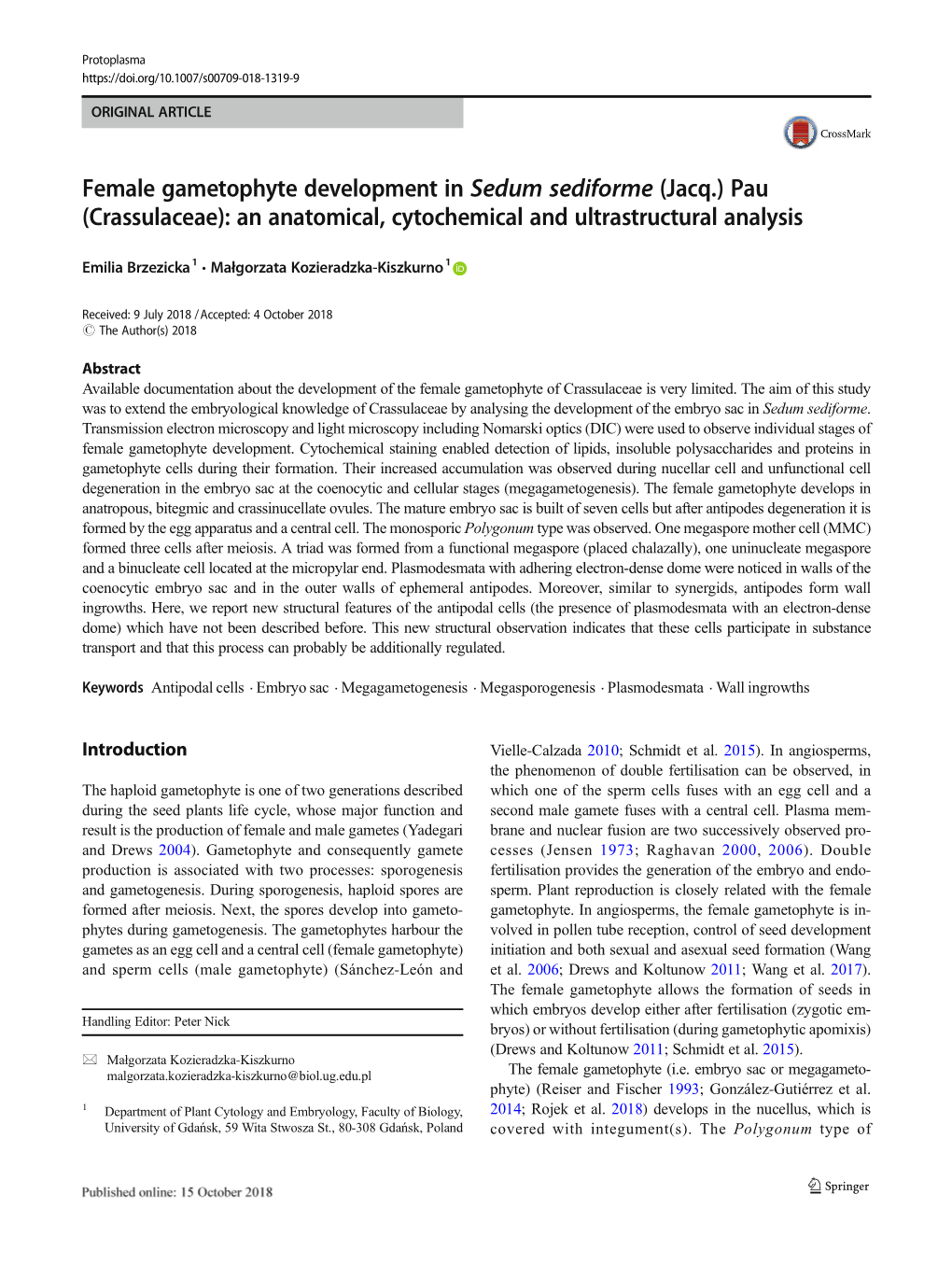 Female Gametophyte Development in Sedum Sediforme (Jacq.) Pau (Crassulaceae): an Anatomical, Cytochemical and Ultrastructural Analysis