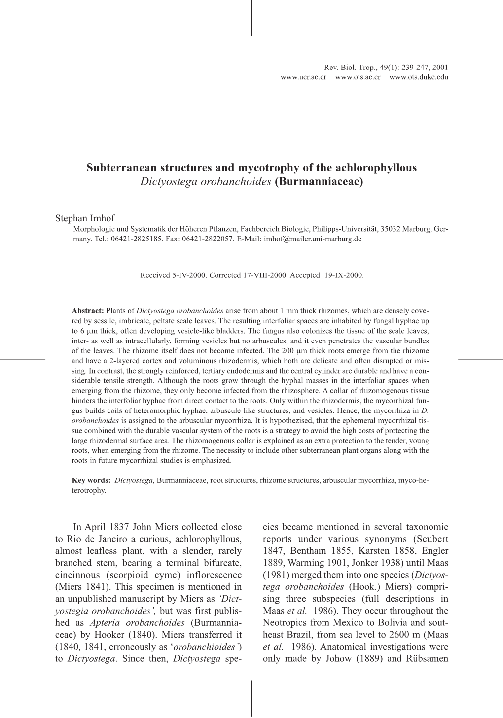 Subterranean Structures and Mycotrophy of the Achlorophyllous Dictyostega Orobanchoides (Burmanniaceae)