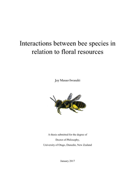 Interactions Between Bee Species in Relation to Floral Resources