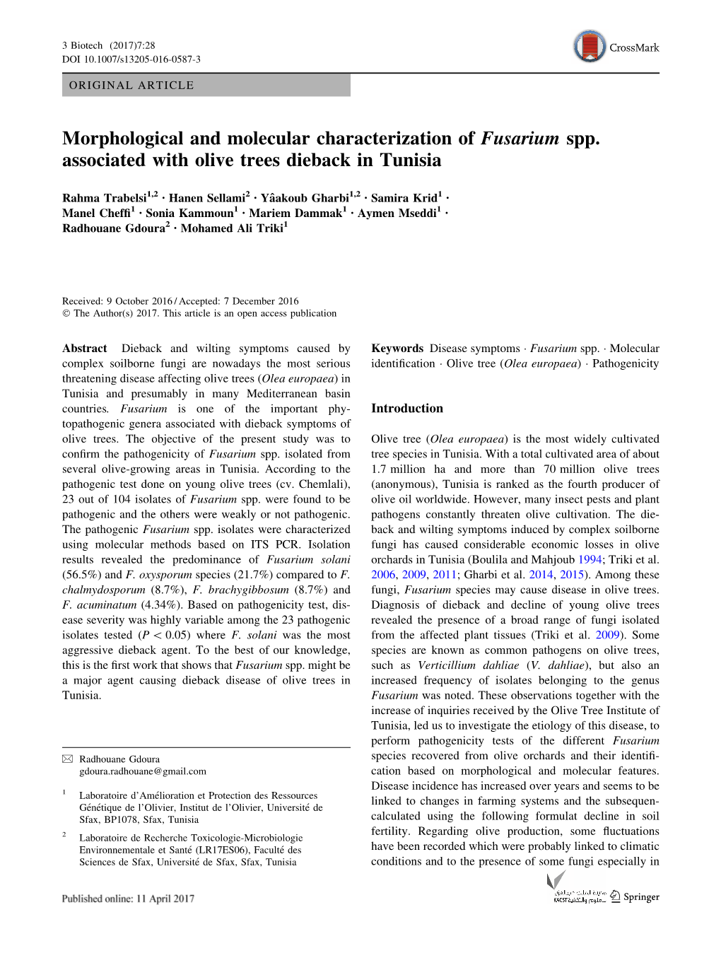 Morphological and Molecular Characterization of Fusarium Spp
