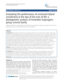 Evaluating the Performance of Anchored Hybrid