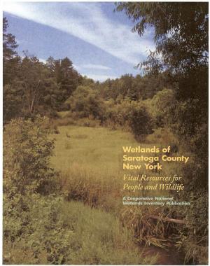 Wetlands of Saratoga County New York