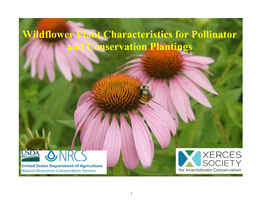 Wildflower Plant Characteristics for Pollinator and Conservation Plantings