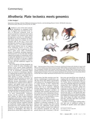 Afrotheria: Plate Tectonics Meets Genomics