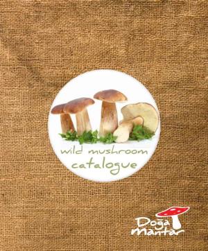 Mushroom Catalogue Wild Green Mushrooms of Turkey