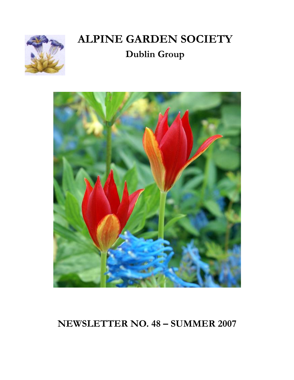 Dublin Group NEWSLETTER NO. 48 – SUMMER 2007