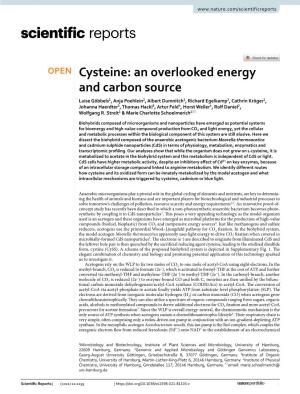 Cysteine: an Overlooked Energy and Carbon Source