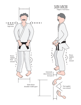 Karate Stances