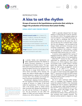 A Kiss to Set the Rhythm Groups of Neurons in the Hypothalamus Synchronize Their Activity to Trigger the Production of Hormones That Sustain Fertility