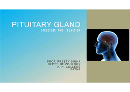 Pituitary Gland Structure and Function