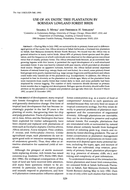 Use of an Exotic Tree Plantation by Bornean Lowland Forest Birds