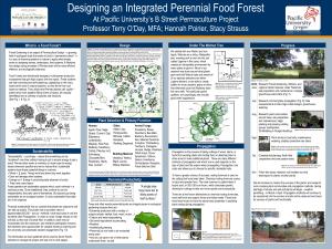 Designing an Integrated Perennial Food Forest at Pacific University’S B Street Permaculture Project Professor Terry O’Day, MFA; Hannah Poirier, Stacy Strauss