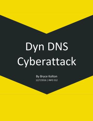 Risk Report Back in October 2016, Dyn Encountered a Massive DNS Ddos Attack That Knocked