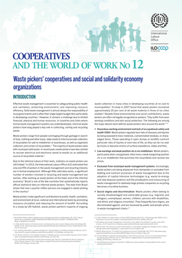 Waste Pickers' Cooperatives and Social and Solidarity Economy