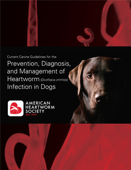 Prevention, Diagnosis, and Management of Infection in Dogs
