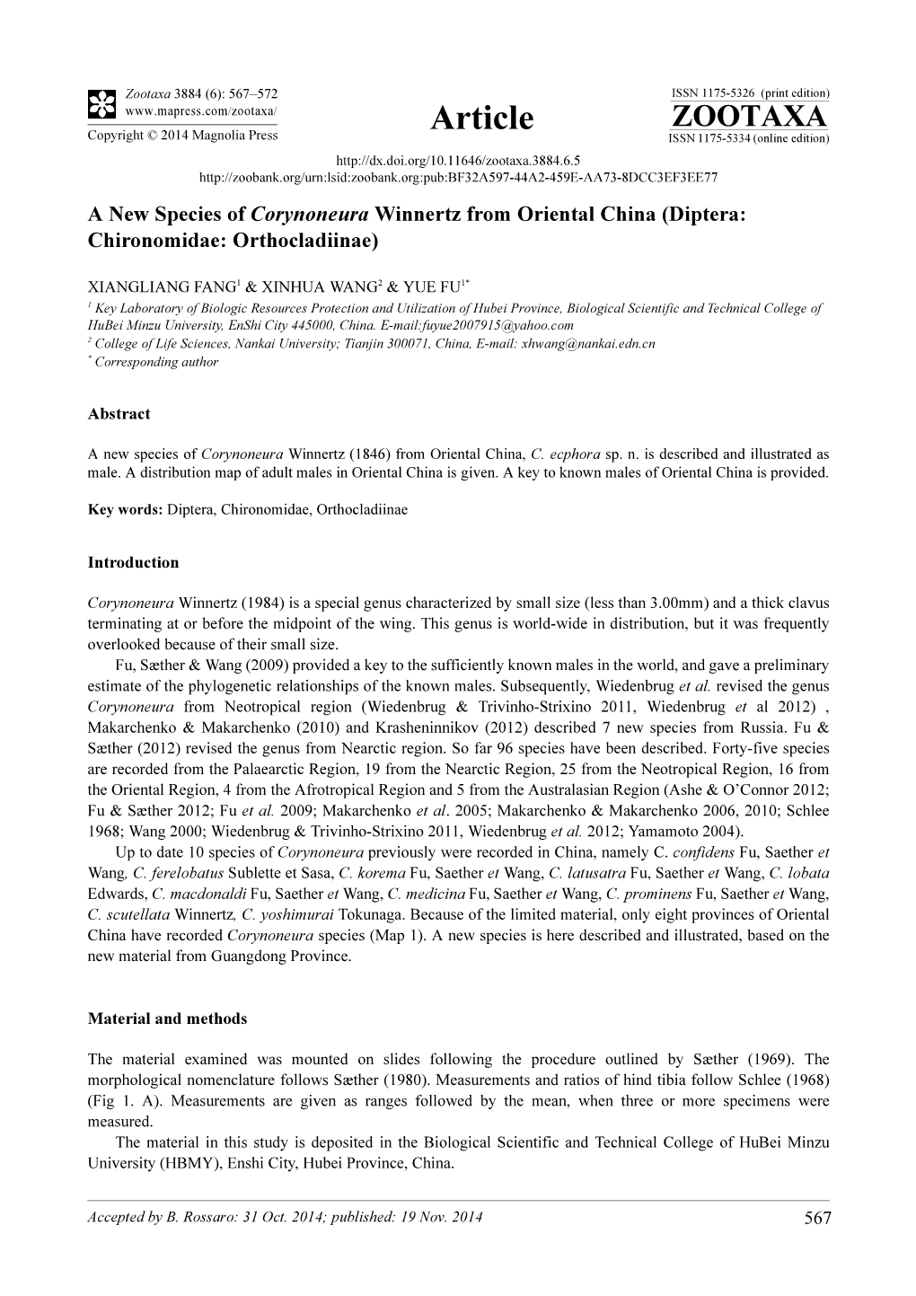 A New Species of Corynoneura Winnertz from Oriental China (Diptera: Chironomidae: Orthocladiinae)