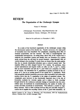 The Organization of the Cholinergic Synapse