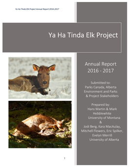 Ya Ha Tinda Elk Project Annual Report 2016-2017