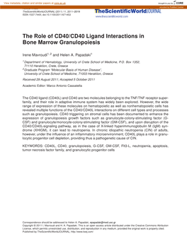 The Role of CD40/CD40 Ligand Interactions in Bone Marrow Granulopoiesis