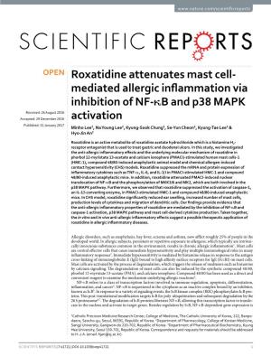 Roxatidine Attenuates Mast Cell-Mediated Allergic Inflammation Via Inhibition of NF-Κb and P38 MAPK Activation