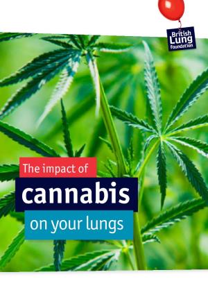 Cannabis Impact on Your Lungs
