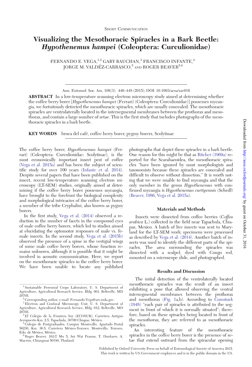 Visualizing the Mesothoracic Spiracles in a Bark Beetle: Hypothenemus Hampei (Coleoptera: Curculionidae)