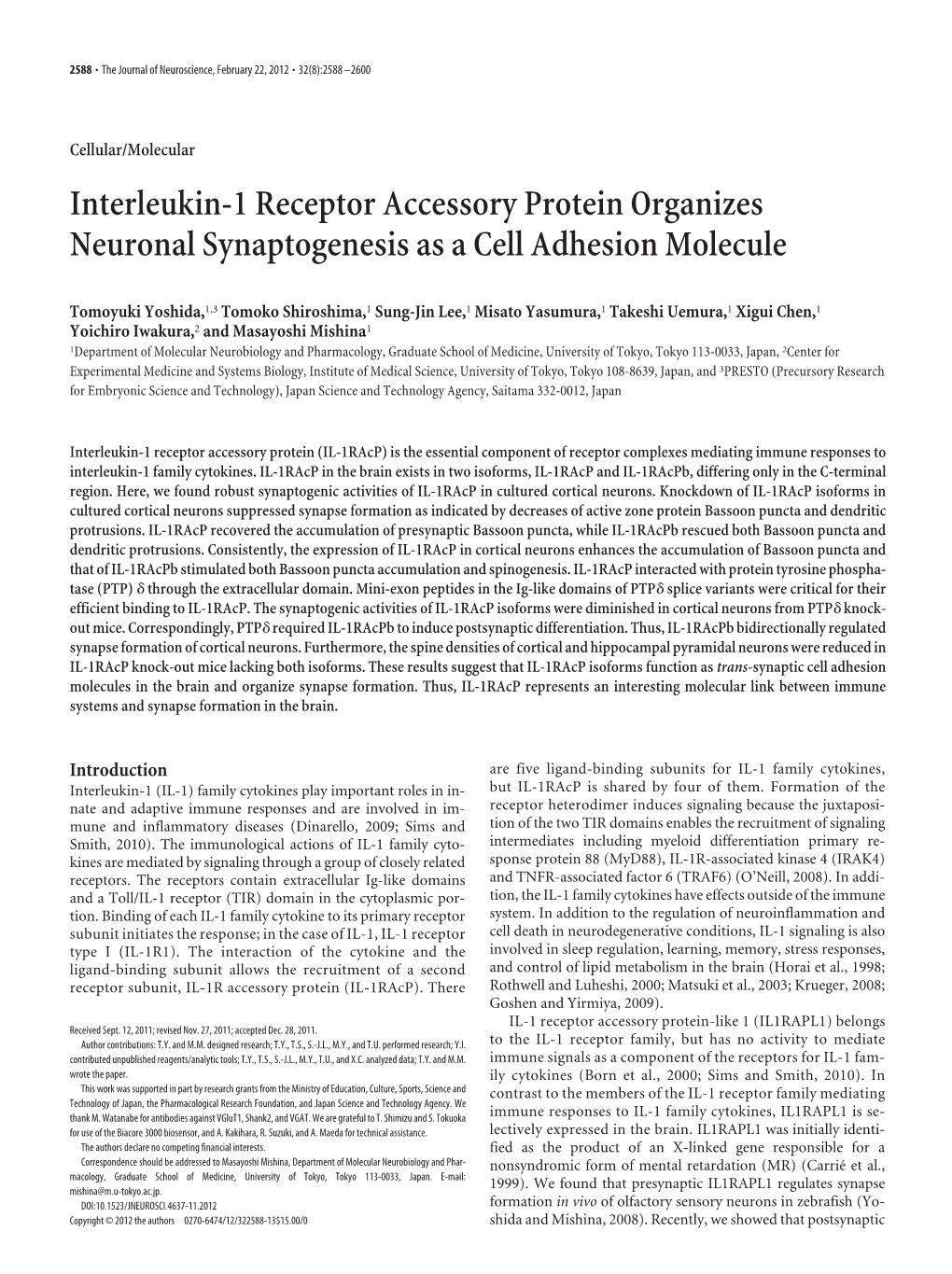 Interleukin-1 Receptor Accessory Protein Organizes Neuronal Synaptogenesis As a Cell Adhesion Molecule