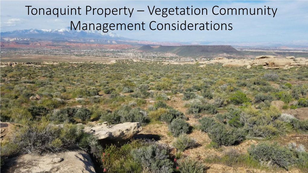 Tonaquint Property – Vegetation Community Management Considerations Outline I