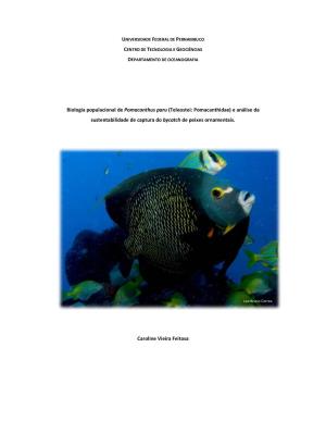 Biologia Populacional De Pomacanthus Paru (Teleostei: Pomacanthidae) E Análise Da Sustentabilidade De Captura Do Bycatch De Peixes Ornamentais