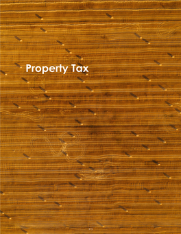 Property Taxes Paid by Class
