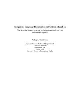 Indigenous Language Preservation in Mexican Education the Need for Mexico to Act on Its Commitment to Preserving Indigenous Languages
