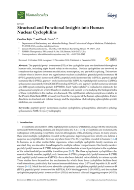 Structural and Functional Insights Into Human Nuclear Cyclophilins