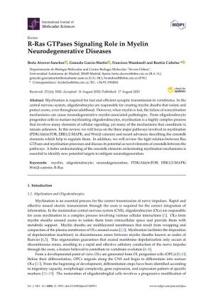 R-Ras Gtpases Signaling Role in Myelin Neurodegenerative Diseases