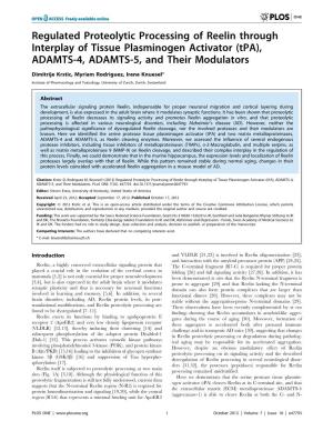 Regulated Proteolytic Processing of Reelin Through Interplay of Tissue Plasminogen Activator (Tpa), ADAMTS-4, ADAMTS-5, and Their Modulators