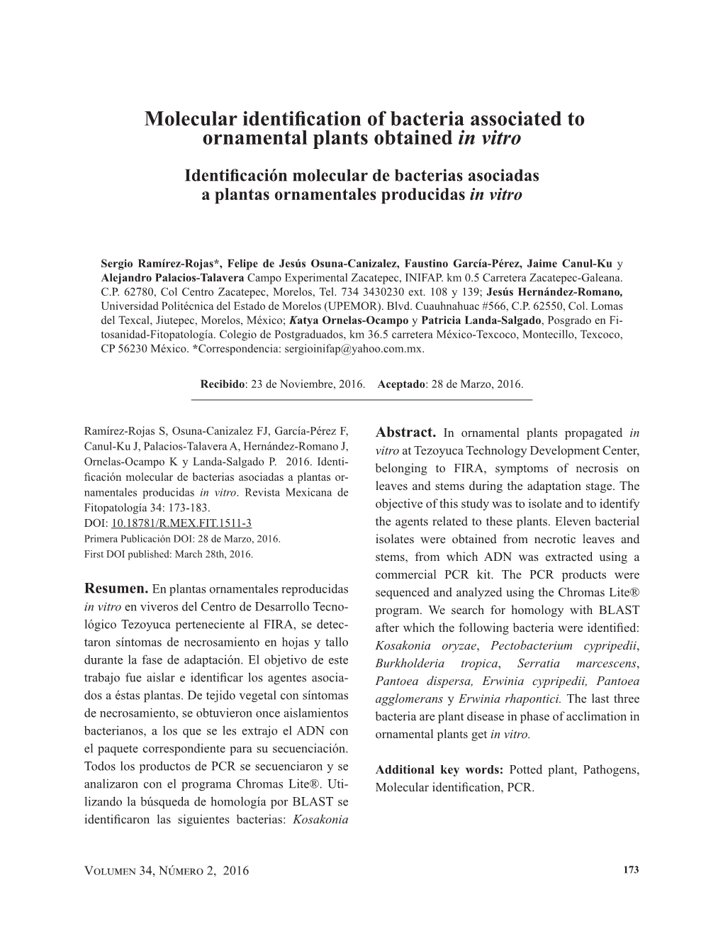Molecular Identification of Bacteria Associated to Ornamental Plants Obtained in Vitro