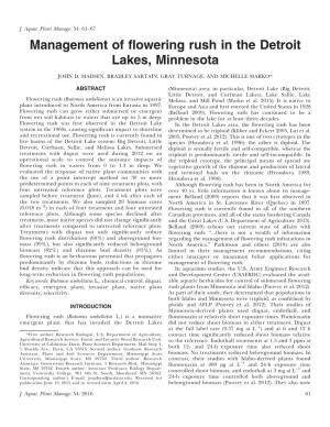 Management of Flowering Rush in the Detroit Lakes, Minnesota