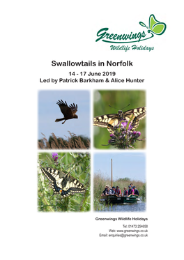 Swallowtails in Norfolk 14 - 17 June 2019 Led by Patrick Barkham & Alice Hunter