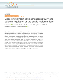 Dissecting Myosin-5B Mechanosensitivity and Calcium Regulation at the Single Molecule Level