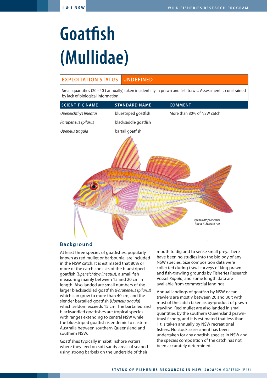 Goatfish (Mullidae)