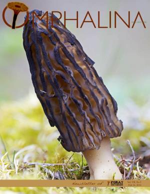 Newsletter of Feb 24, 2016 OMPHALINA OMPHALINA, Newsletter of Foray Newfoundland & Labrador, Has No Fixed Schedule of Publication, and No Promise to Appear Again