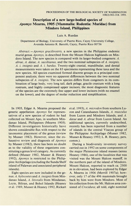 Description of a New Large-Bodied Species of Apomys Mearns, 1905 (Mammalia: Rodentia: Muridae) from Mindoro Island, Philippines